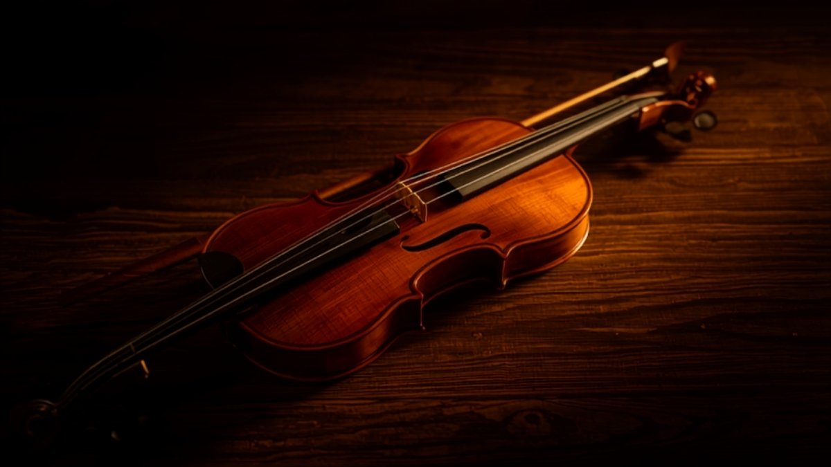 Violín